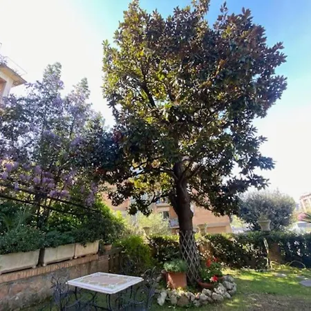 Garden *